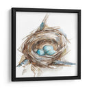 Estudio De Nido De Aves Ii - Ethan Harper | Cuadro decorativo de Canvas Lab