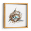 Estudio De Nido De Aves Ii - Ethan Harper | Cuadro decorativo de Canvas Lab