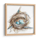 Estudio De Nido De Aves Ii - Ethan Harper | Cuadro decorativo de Canvas Lab