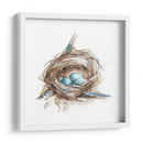Estudio De Nido De Aves Ii - Ethan Harper | Cuadro decorativo de Canvas Lab