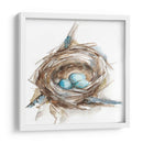 Estudio De Nido De Aves Ii - Ethan Harper | Cuadro decorativo de Canvas Lab