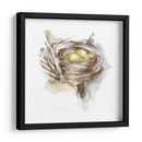Estudio De Nido De Aves Iii - Ethan Harper | Cuadro decorativo de Canvas Lab