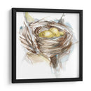 Estudio De Nido De Aves Iii - Ethan Harper | Cuadro decorativo de Canvas Lab