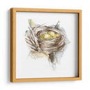 Estudio De Nido De Aves Iii - Ethan Harper | Cuadro decorativo de Canvas Lab