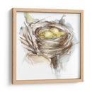 Estudio De Nido De Aves Iii - Ethan Harper | Cuadro decorativo de Canvas Lab