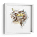 Estudio De Nido De Aves Iii - Ethan Harper | Cuadro decorativo de Canvas Lab