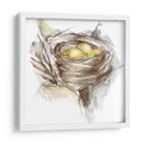 Estudio De Nido De Aves Iii - Ethan Harper | Cuadro decorativo de Canvas Lab