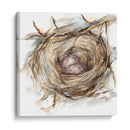 Estudio De Nido De Aves Iv - Ethan Harper | Cuadro decorativo de Canvas Lab