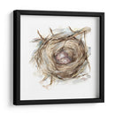Estudio De Nido De Aves Iv - Ethan Harper | Cuadro decorativo de Canvas Lab