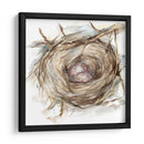 Estudio De Nido De Aves Iv - Ethan Harper | Cuadro decorativo de Canvas Lab