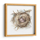Estudio De Nido De Aves Iv - Ethan Harper | Cuadro decorativo de Canvas Lab