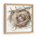 Estudio De Nido De Aves Iv - Ethan Harper | Cuadro decorativo de Canvas Lab