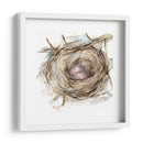 Estudio De Nido De Aves Iv - Ethan Harper | Cuadro decorativo de Canvas Lab