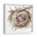 Estudio De Nido De Aves Iv - Ethan Harper | Cuadro decorativo de Canvas Lab