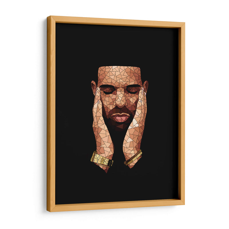 Drake mosaic | Cuadro decorativo de Canvas Lab