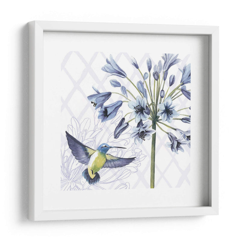 Hummingbird Dance Ii - Grace Popp | Cuadro decorativo de Canvas Lab