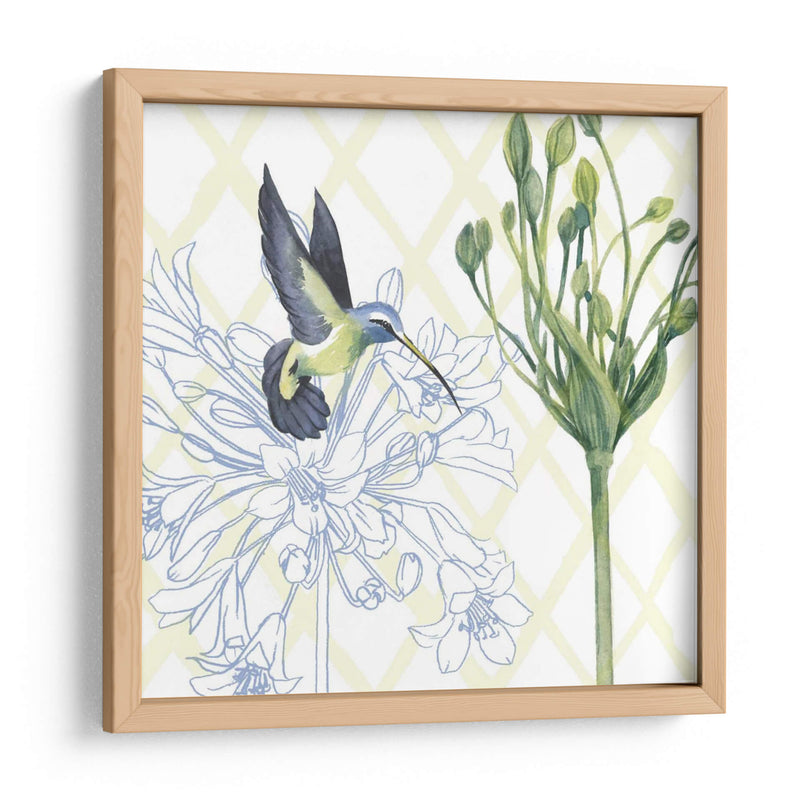 Hummingbird Dance Iii - Grace Popp | Cuadro decorativo de Canvas Lab