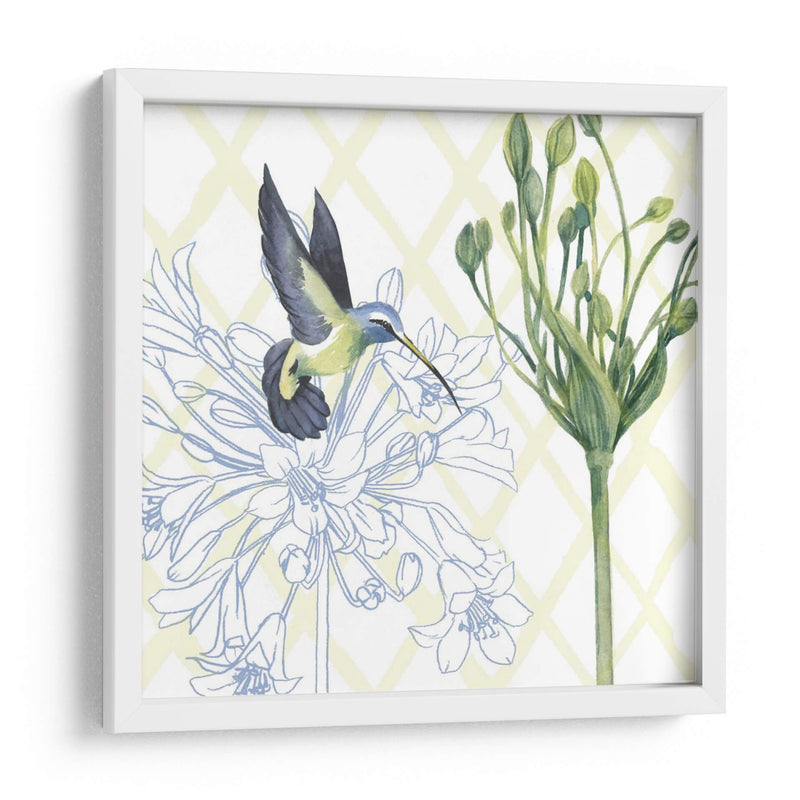 Hummingbird Dance Iii - Grace Popp | Cuadro decorativo de Canvas Lab