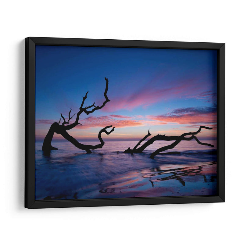 Playa De Driftwood - P.H. Burchett | Cuadro decorativo de Canvas Lab