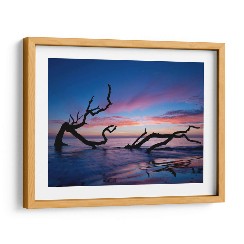 Playa De Driftwood - P.H. Burchett | Cuadro decorativo de Canvas Lab