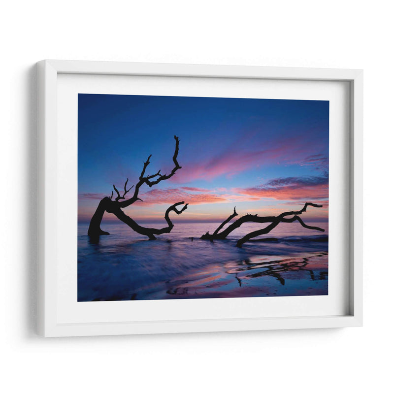 Playa De Driftwood - P.H. Burchett | Cuadro decorativo de Canvas Lab