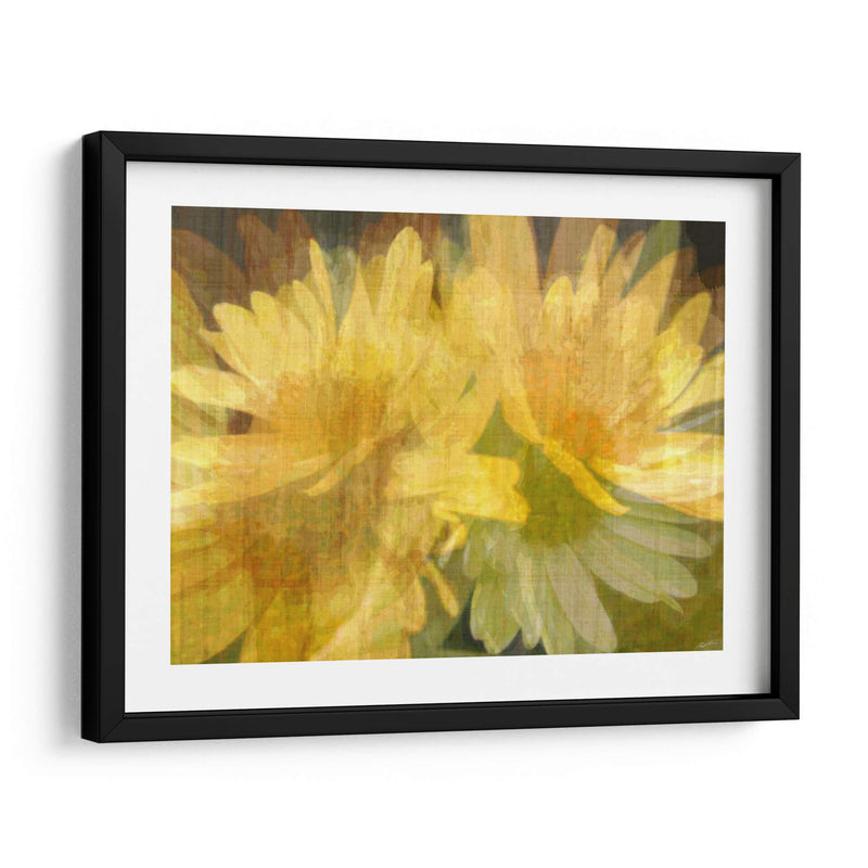 Daisy Daisy I - John Butler | Cuadro decorativo de Canvas Lab