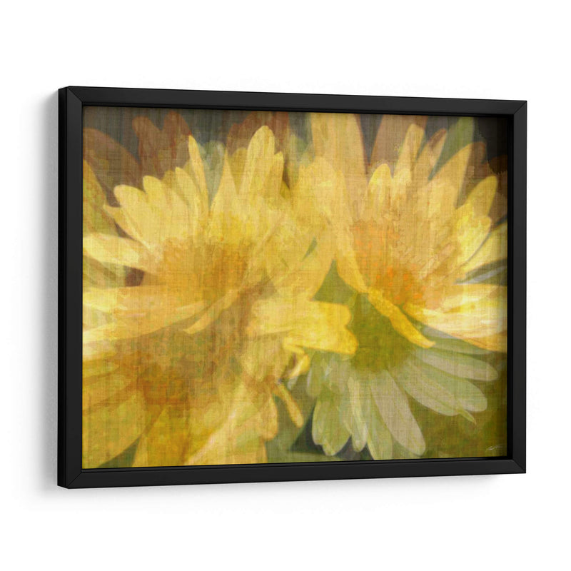 Daisy Daisy I - John Butler | Cuadro decorativo de Canvas Lab