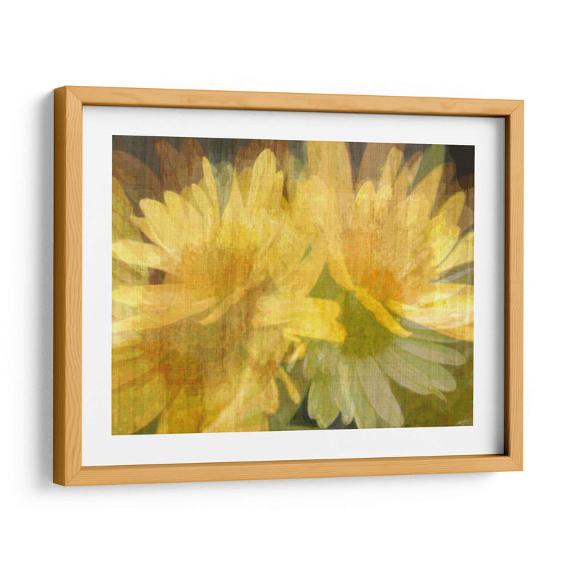 Daisy Daisy I - John Butler | Cuadro decorativo de Canvas Lab