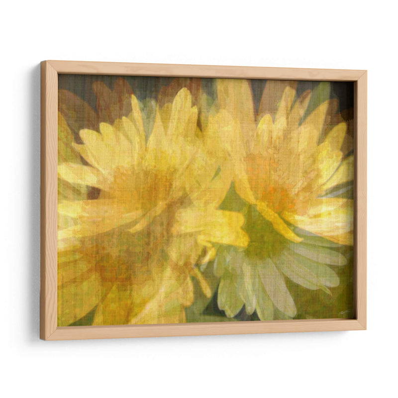 Daisy Daisy I - John Butler | Cuadro decorativo de Canvas Lab