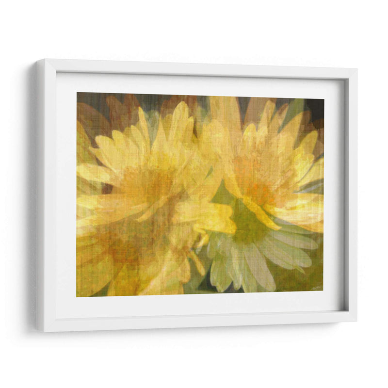 Daisy Daisy I - John Butler | Cuadro decorativo de Canvas Lab