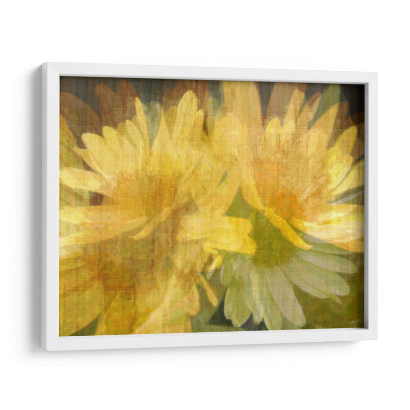 Daisy Daisy I - John Butler | Cuadro decorativo de Canvas Lab