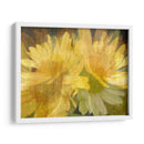 Daisy Daisy I - John Butler | Cuadro decorativo de Canvas Lab