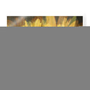 Daisy Daisy I - John Butler | Cuadro decorativo de Canvas Lab