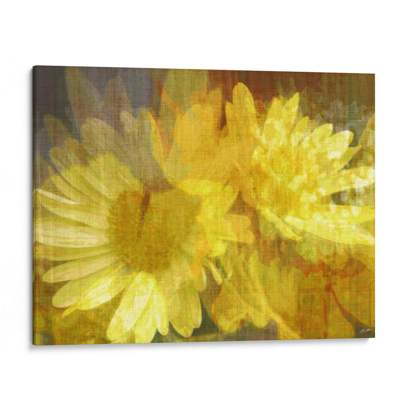 Daisy Daisy Ii - John Butler | Cuadro decorativo de Canvas Lab