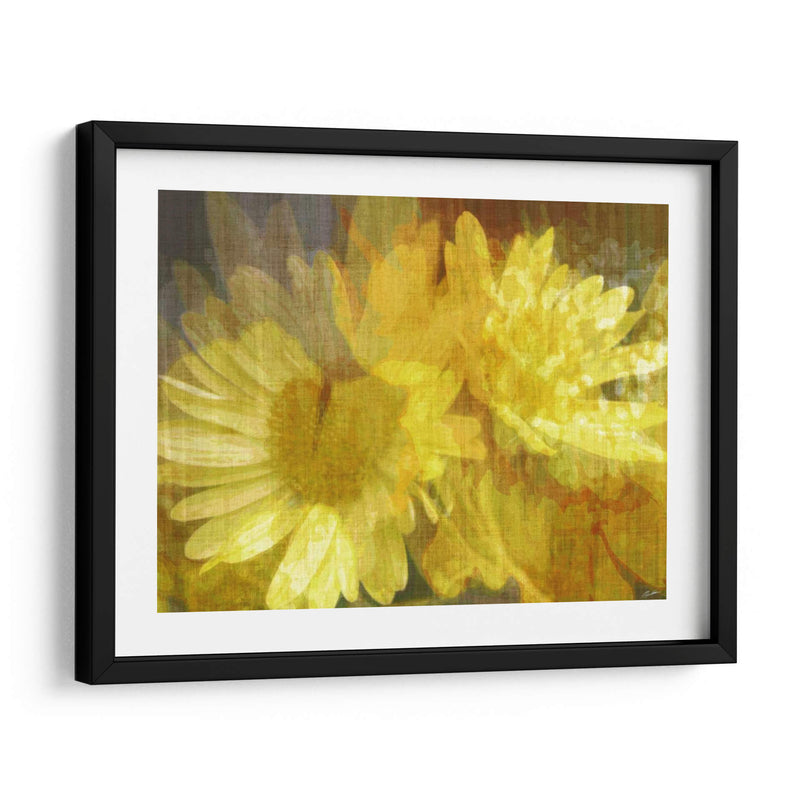 Daisy Daisy Ii - John Butler | Cuadro decorativo de Canvas Lab