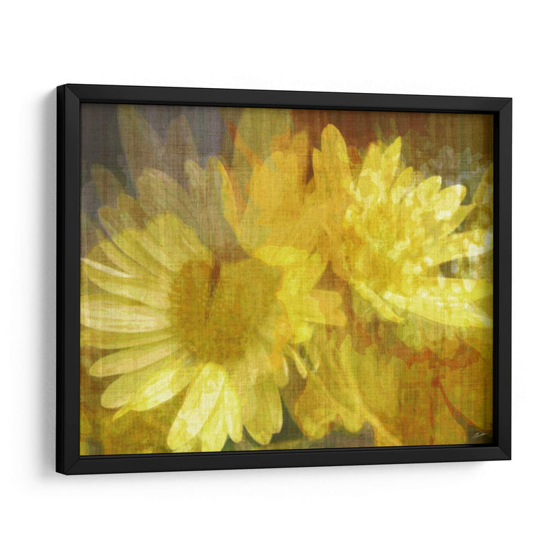 Daisy Daisy Ii - John Butler | Cuadro decorativo de Canvas Lab