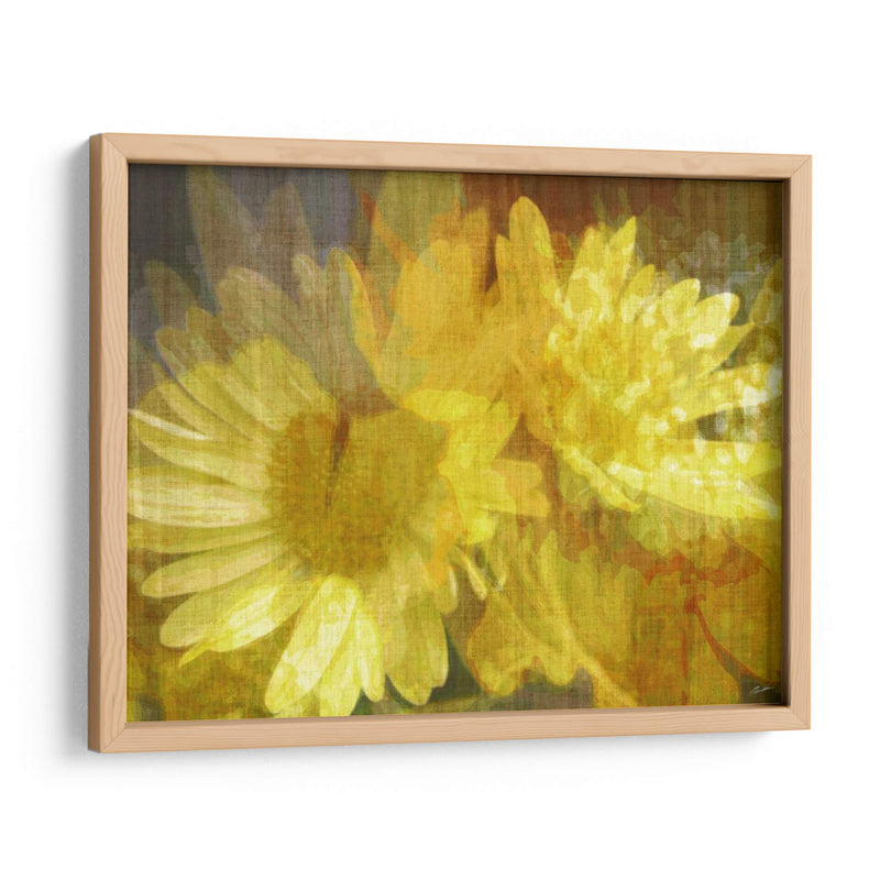 Daisy Daisy Ii - John Butler | Cuadro decorativo de Canvas Lab