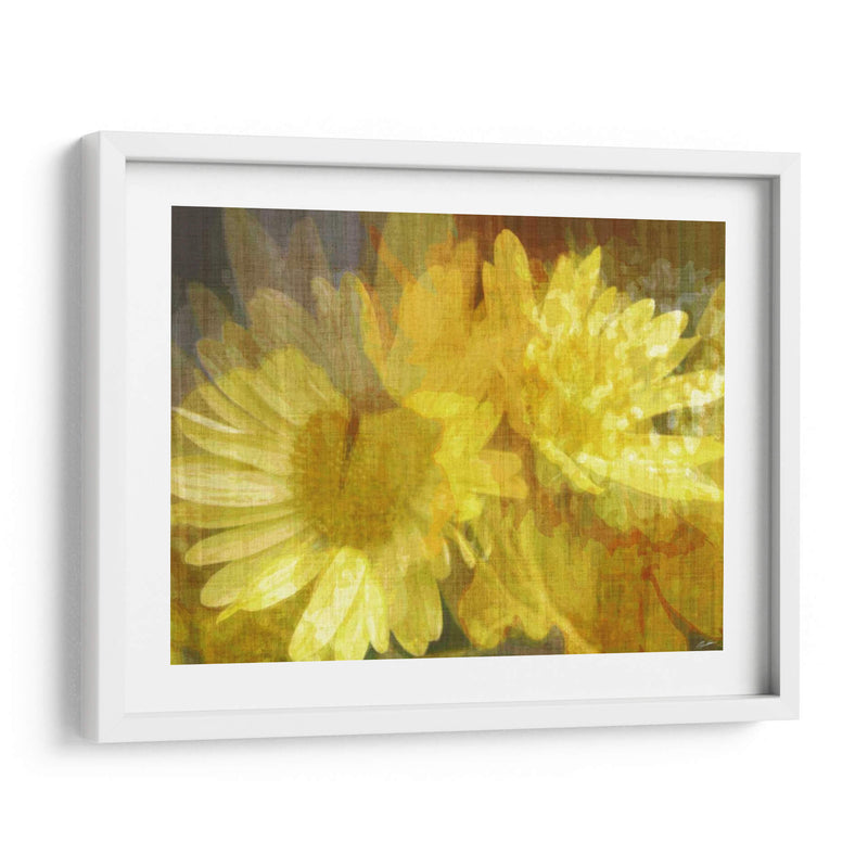 Daisy Daisy Ii - John Butler | Cuadro decorativo de Canvas Lab