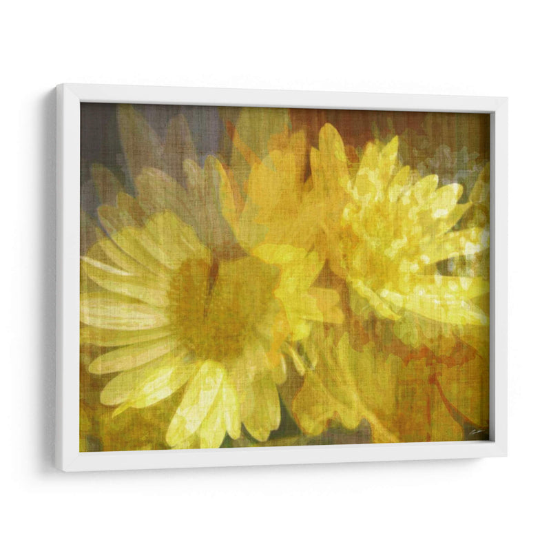 Daisy Daisy Ii - John Butler | Cuadro decorativo de Canvas Lab