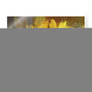 Daisy Daisy Ii - John Butler | Cuadro decorativo de Canvas Lab