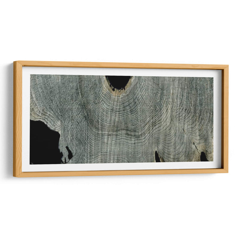 Gris Ghost Ii - John Butler | Cuadro decorativo de Canvas Lab