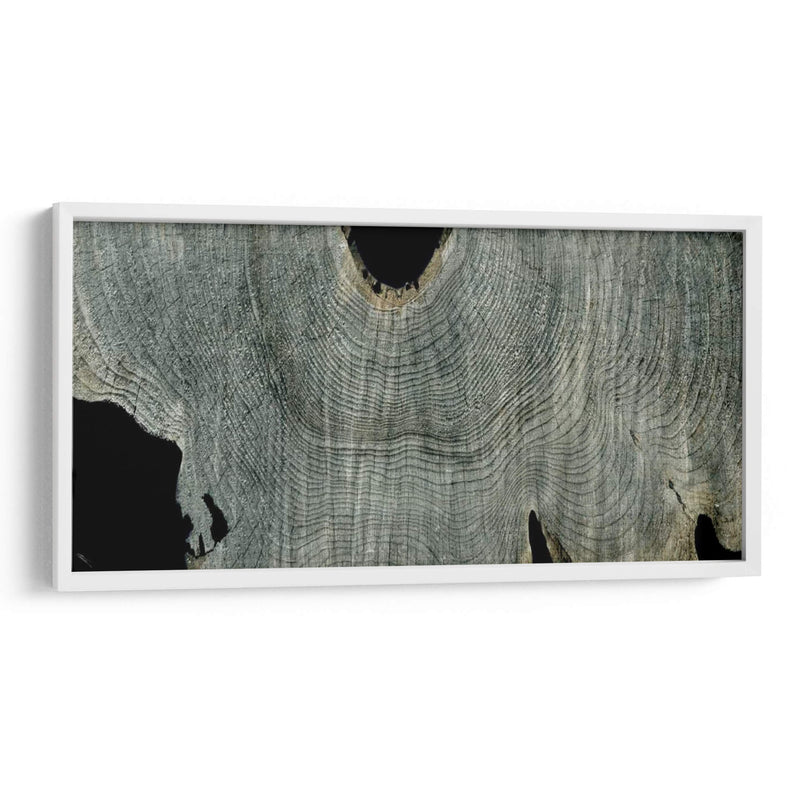 Gris Ghost Ii - John Butler | Cuadro decorativo de Canvas Lab