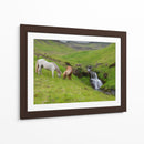 Caballos Islandeses I - P.H. Burchett | Cuadro decorativo de Canvas Lab