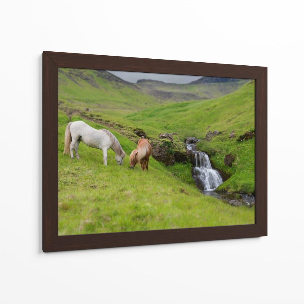 Caballos Islandeses I - P.H. Burchett | Cuadro decorativo de Canvas Lab