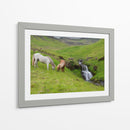 Caballos Islandeses I - P.H. Burchett | Cuadro decorativo de Canvas Lab