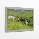 Caballos Islandeses I - P.H. Burchett | Cuadro decorativo de Canvas Lab