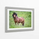 Caballos Islandeses Ii - P.H. Burchett | Cuadro decorativo de Canvas Lab