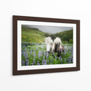 Caballos Islandeses Iii - P.H. Burchett | Cuadro decorativo de Canvas Lab