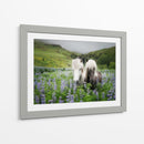 Caballos Islandeses Iii - P.H. Burchett | Cuadro decorativo de Canvas Lab