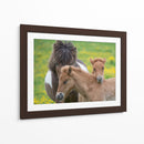 Caballos Islandeses Iv - P.H. Burchett | Cuadro decorativo de Canvas Lab